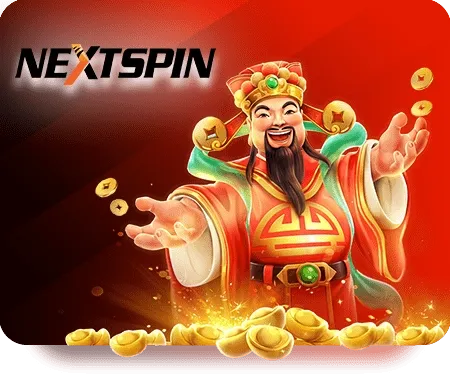 dd2424-nextspin